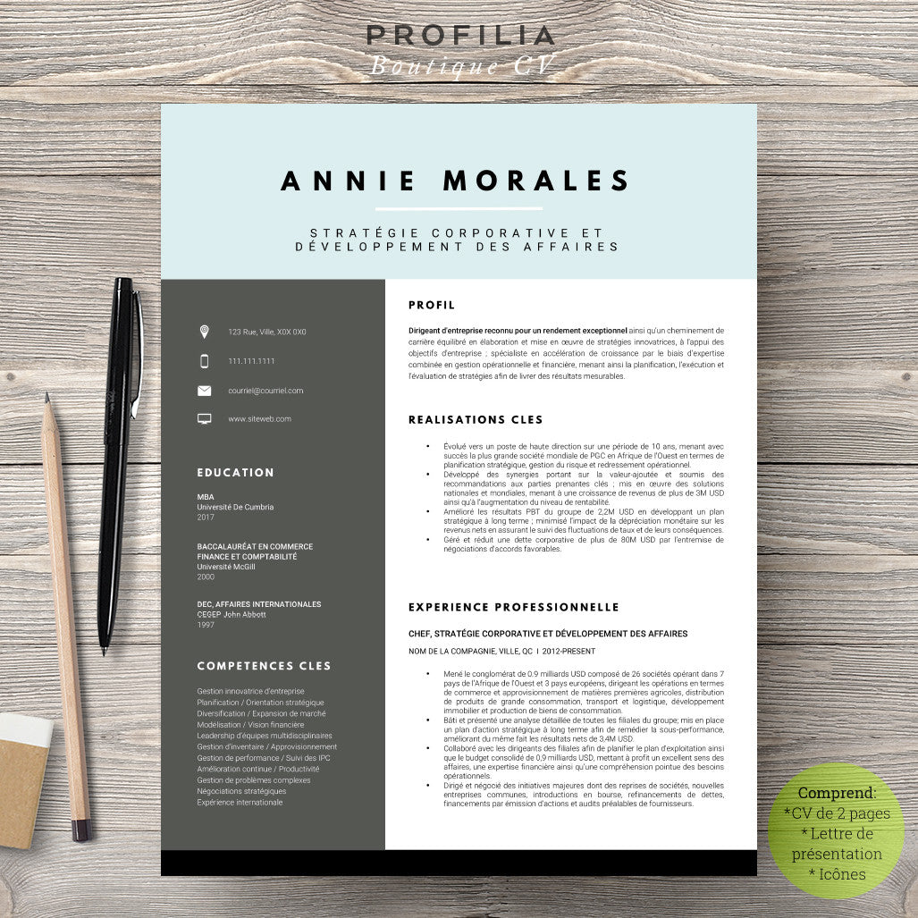 Modèle de CV et Lettre de présentation à télécharger --- Fichier en format Word modifiable (#2)