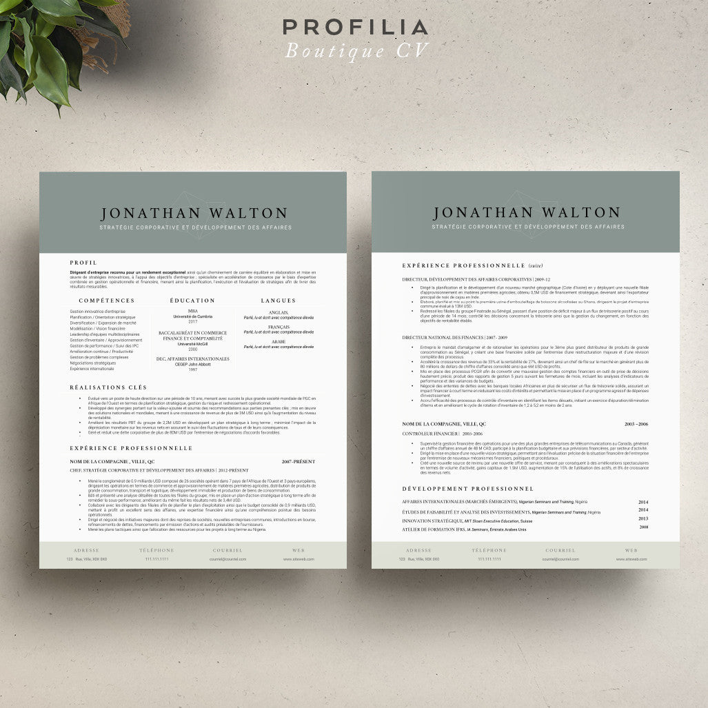 Modèle de CV et Lettre de présentation à télécharger --- Fichier en format Word modifiable (#15)