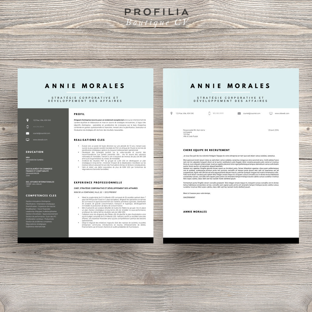 Modèle de CV et Lettre de présentation à télécharger --- Fichier en format Word modifiable (#2)